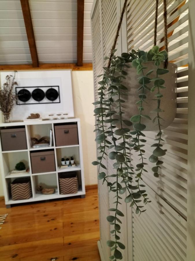 דירות פורטו מוניז Casa Dias מראה חיצוני תמונה